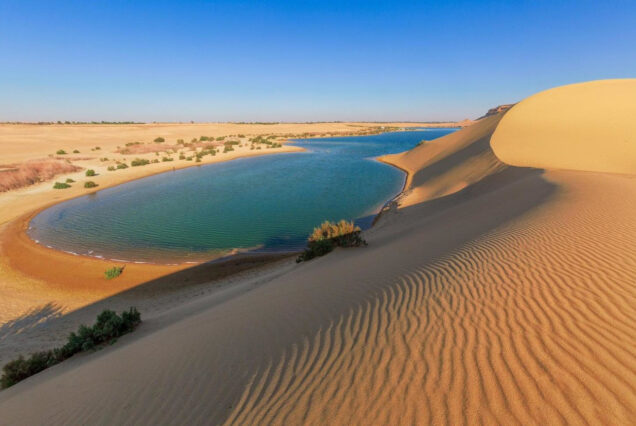 Day Tour to El Fayoum from Cairo by Vehicle